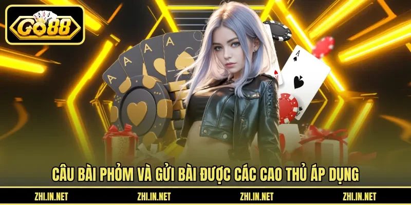 Câu bài phỏm và gửi bài được các cao thủ áp dụng
